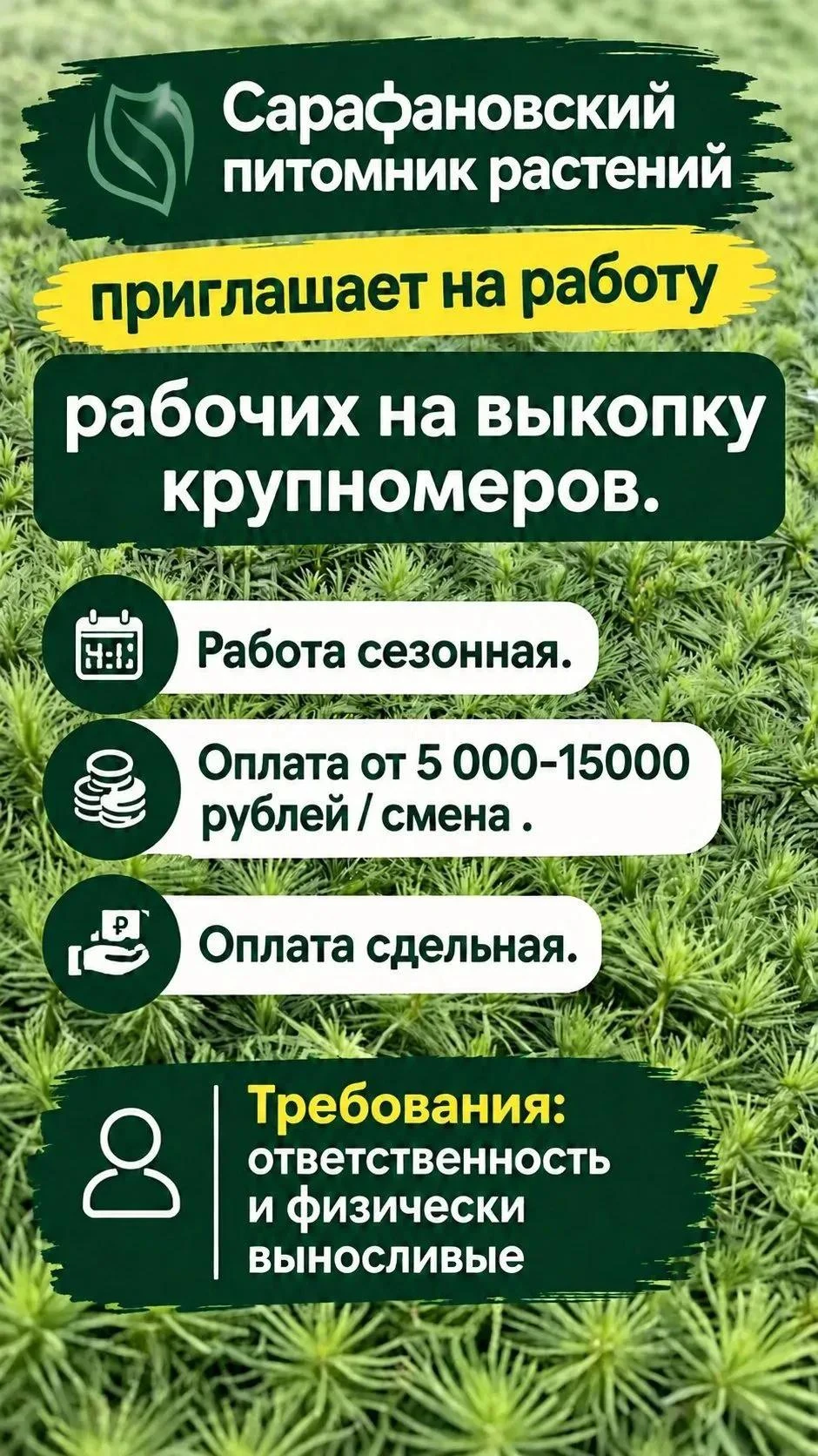 📢  СЕЗОН ОТКРЫТ!