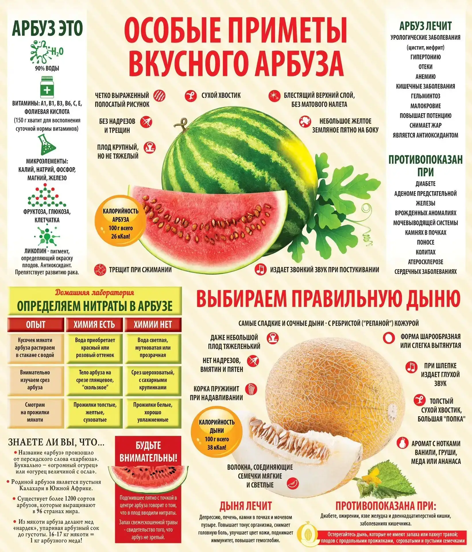 🍉 Витаминный сезон: как выбрать самый вкусный арбуз и дыню? 🍈

Дорогие родители! Наступило время с