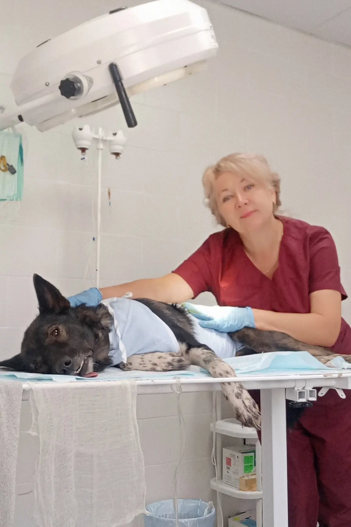 Джессика на шаг ближе к здоровому будущему! 🐾