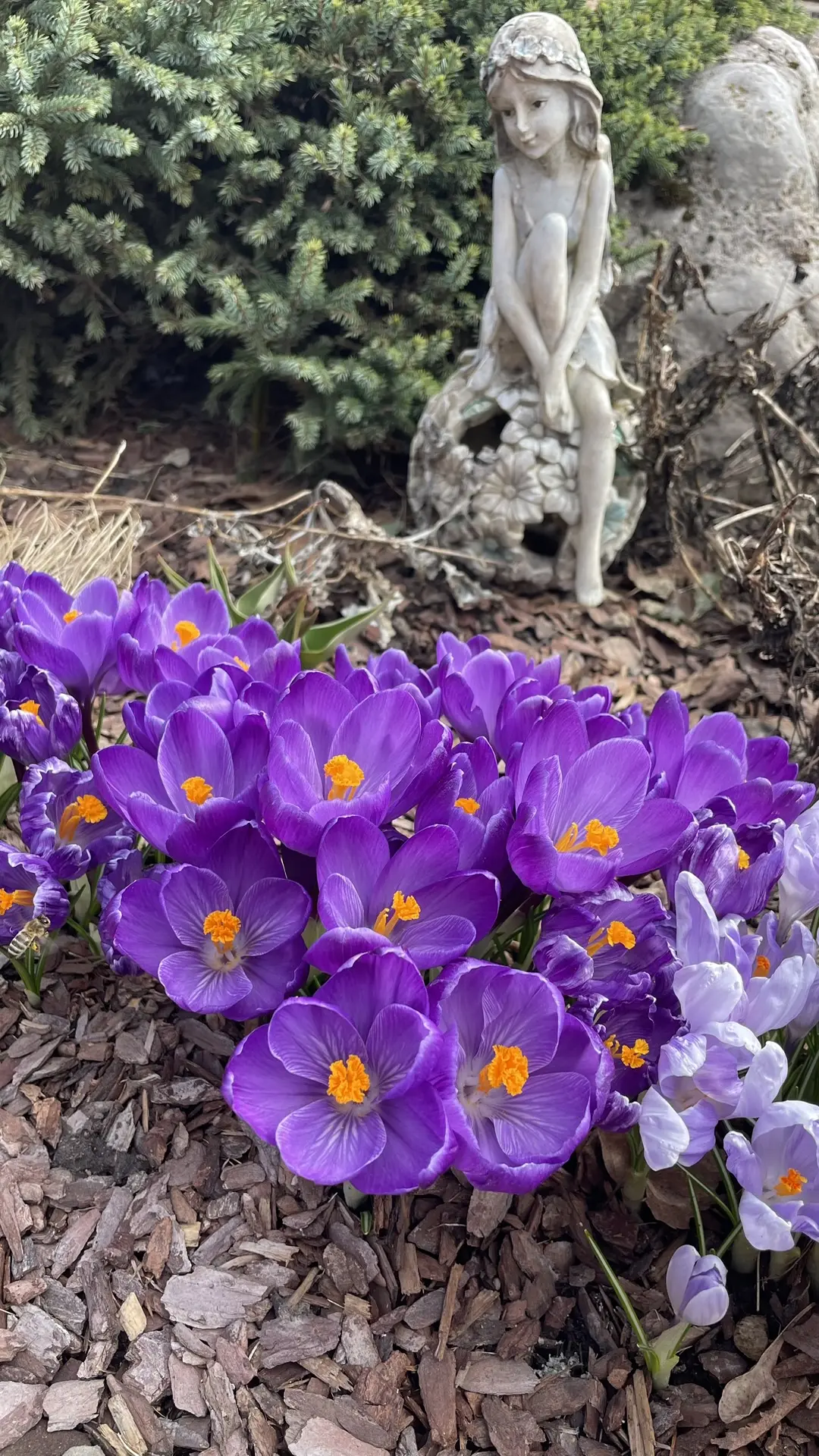 Доброе воскресное утро 🌷🌷🌷