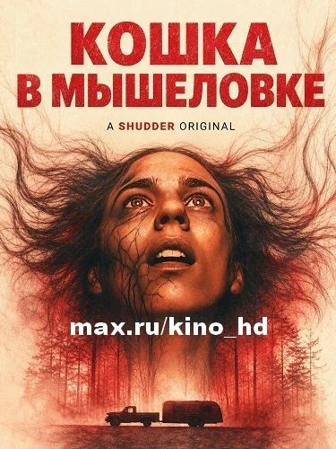 Кошка в мышеловке (2025)