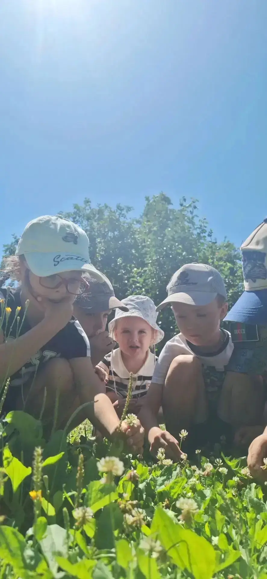 ☘Наблюдение на прогулке.