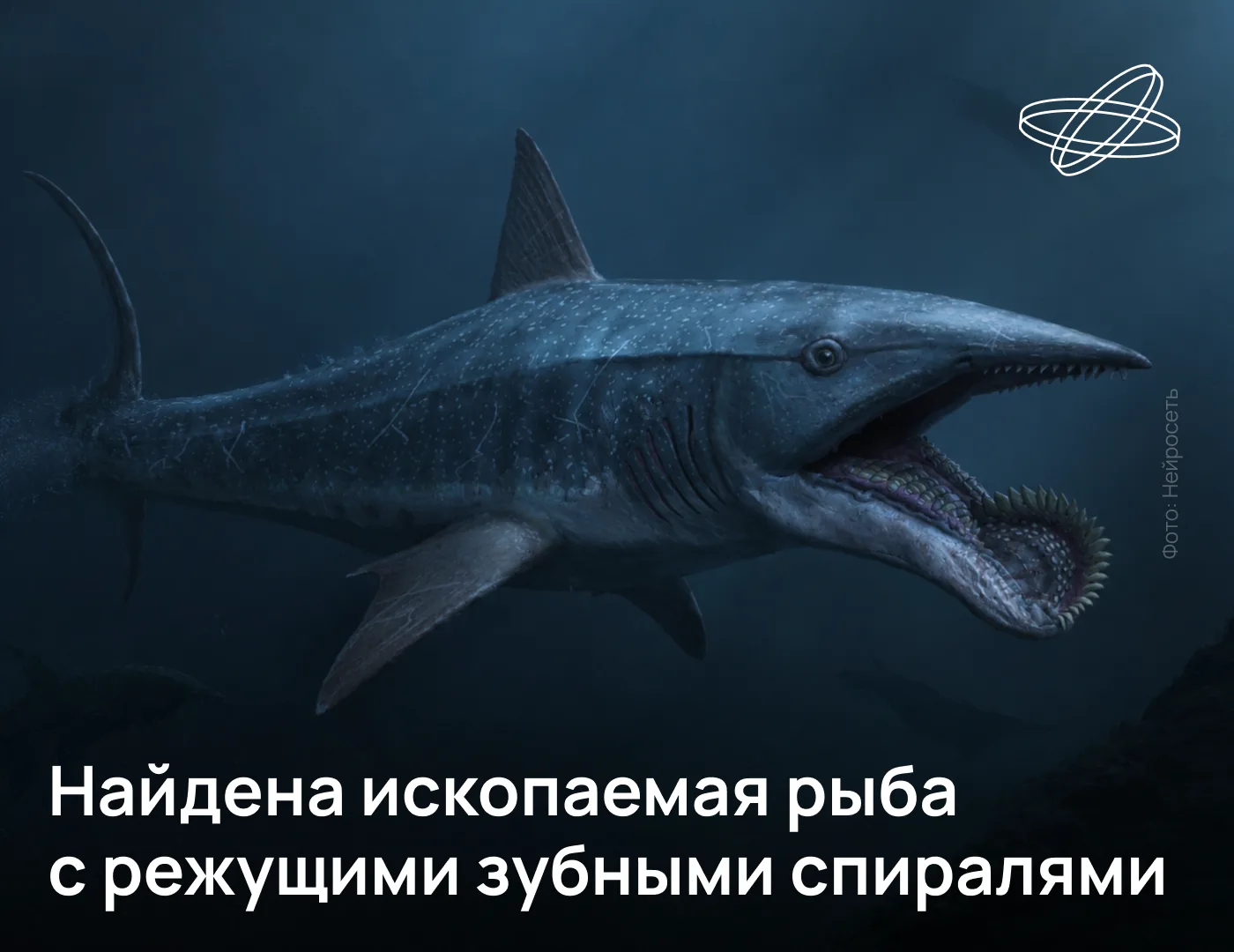 Российские учёные нашли под Тулой остатки древней рыбы, жившей в этих местах более 300 ...