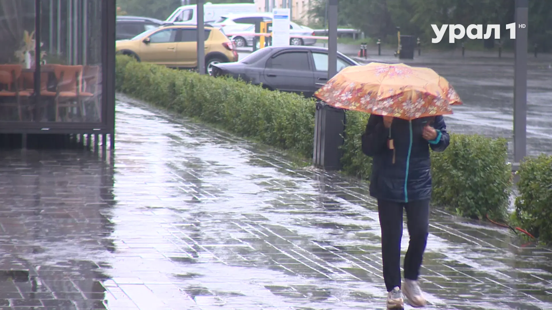 ⛈️💨 ШТОРМОВОЕ ПРЕДУПРЕЖДЕНИЕ