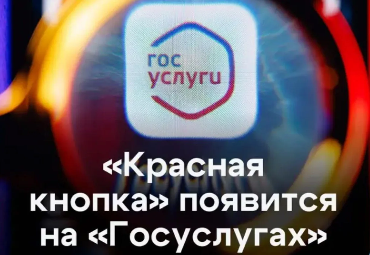 На «Госуслугах» появится «красная кнопка» от мошенников.