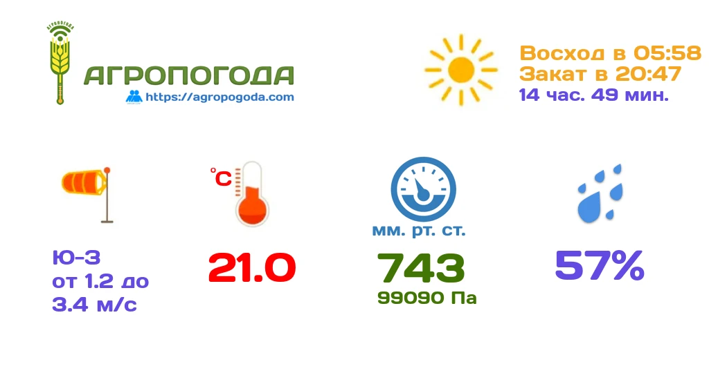 Агрометеорологическая сводка на 20.08.2026 (12:41)