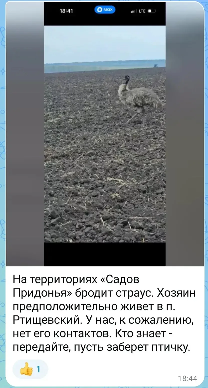#отподписчика