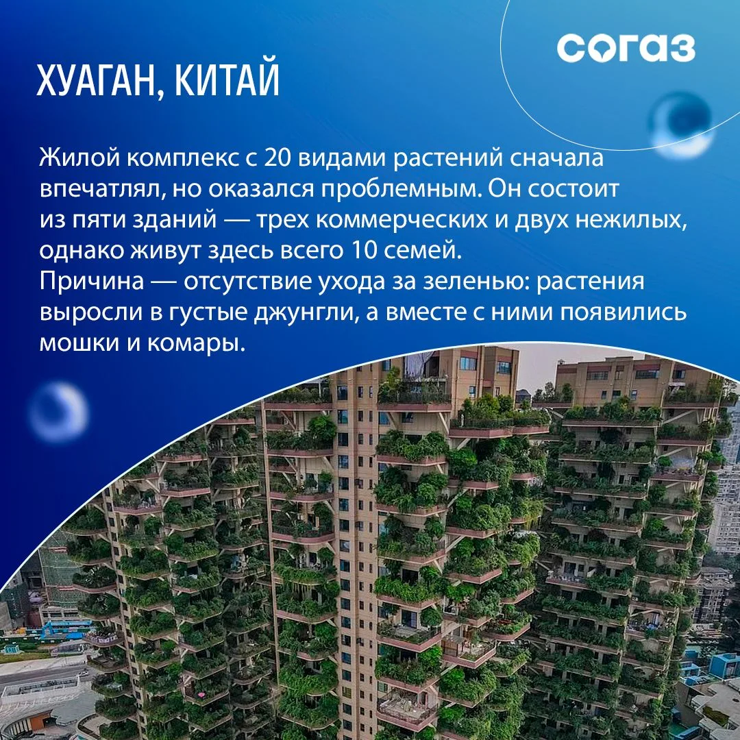 Хотели бы жить в доме в виде слона? Или может к квартире с видом на джунгли?  Современные архитектор