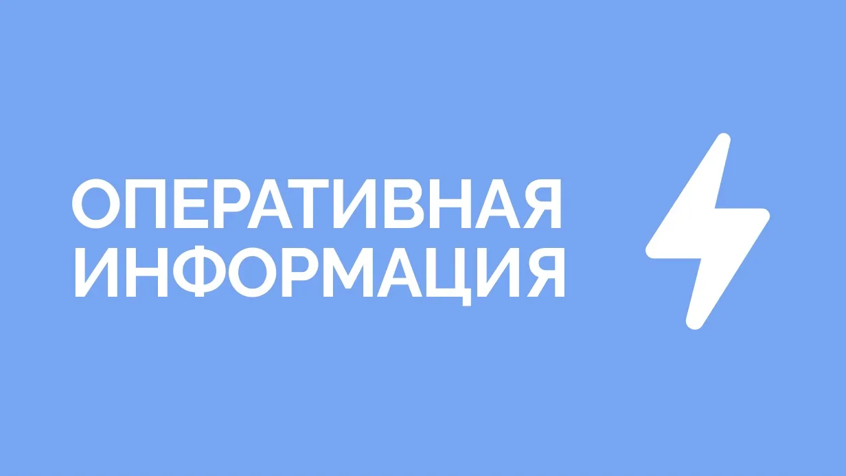 Отрожка | Лесная Поляна | Берёзка | Воронеж🏡

Внимание! Уважаемые жители Воронежской области, на те