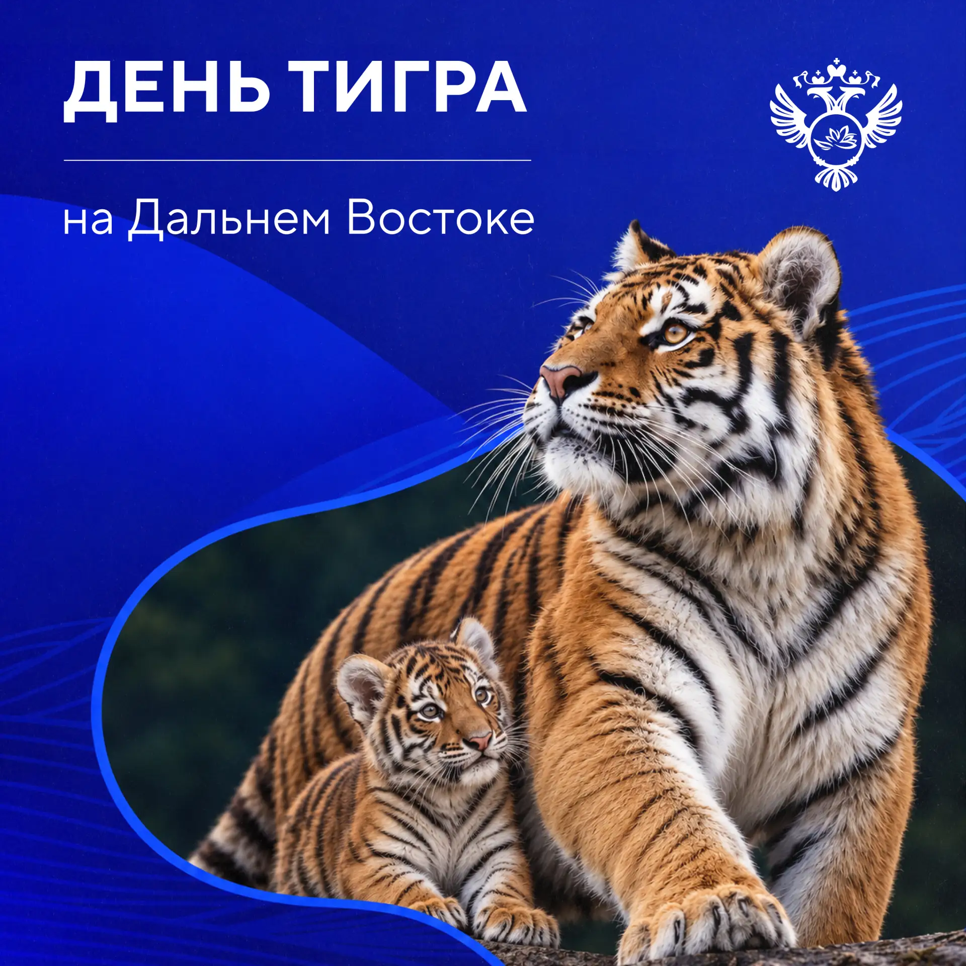 🐯 Сегодня Дальний Восток празднует День тигра!