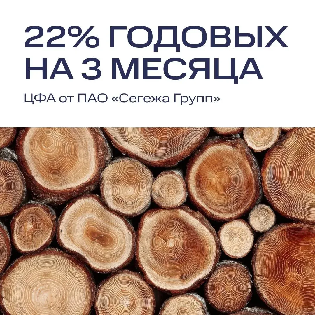 ЦФА с доходностью 22% на 3 месяца