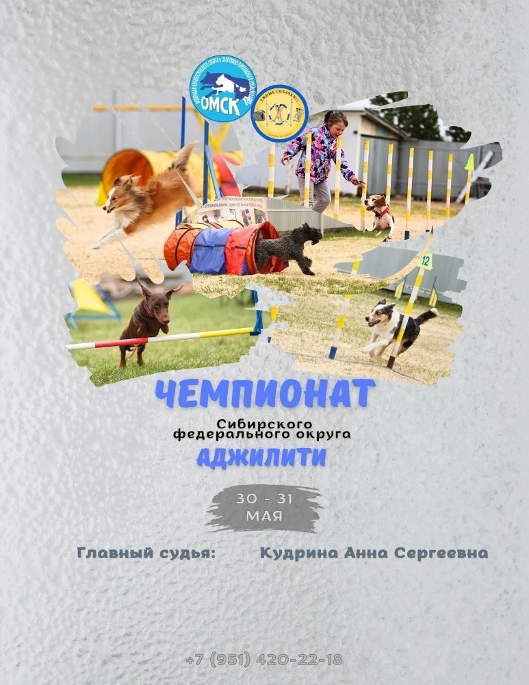 💥В Омске пройдёт чемпионат Сибири по кинологическому спорту