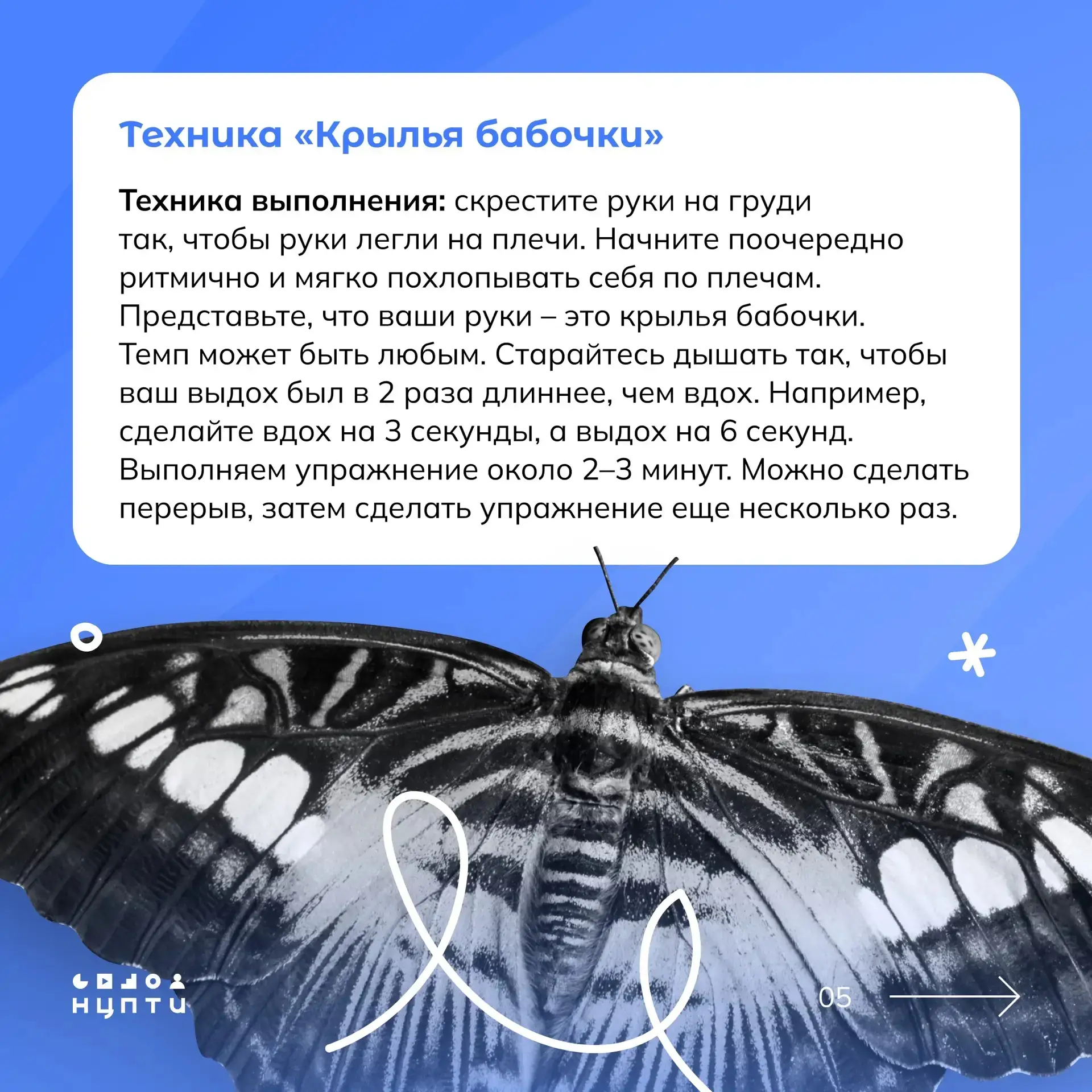Стресс накануне экзаменов — естественная защитная реакция организма.   Чтобы стрессовое состояние не