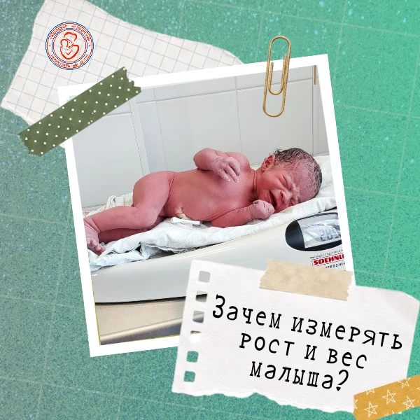 ❓ Зачем измеряют рост и вес малыша?

Измерение роста и веса новорожденного в роддоме — это не просто