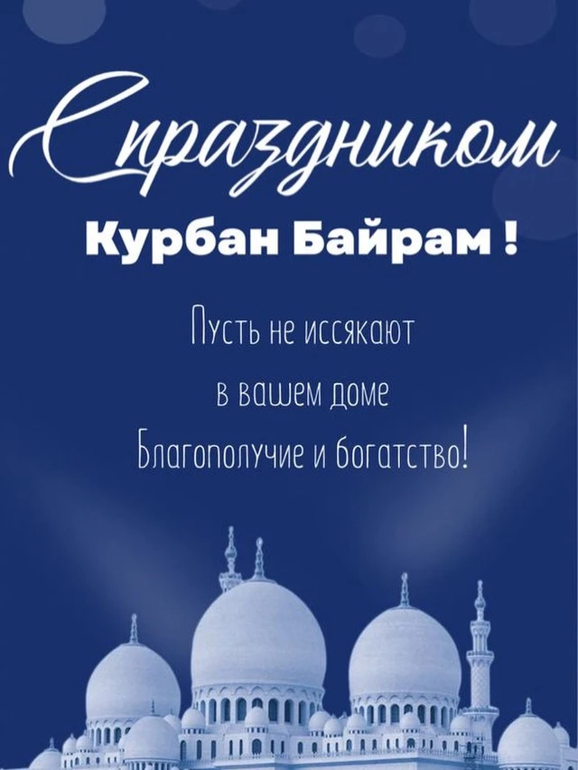 Дорогие друзья !