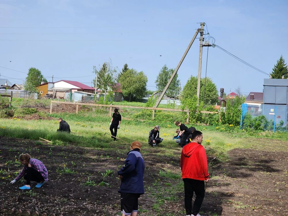 В школе начались садово-огородные работы.
МБОУ "Чистопольско-Высельская СОШ" Республики Татарстан пр