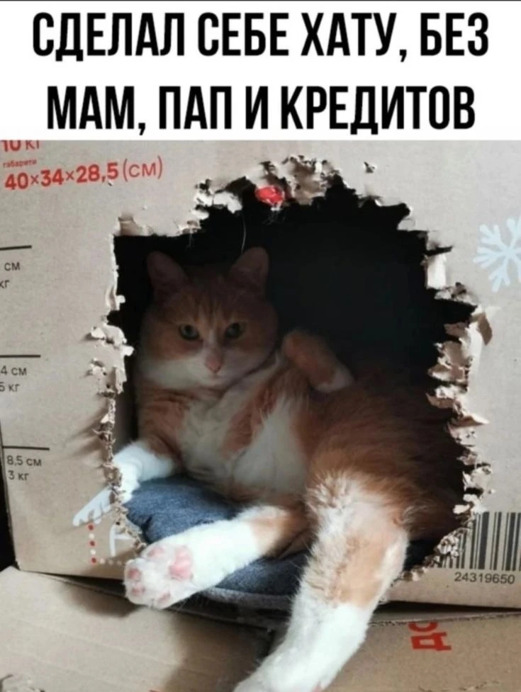 😎

Котаны • подписаться 
Наш второй канал • Пушистики