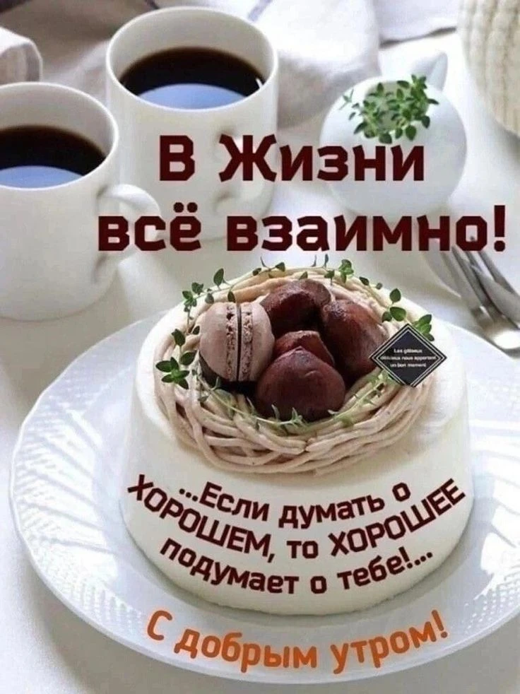 Доброе утро 🌸