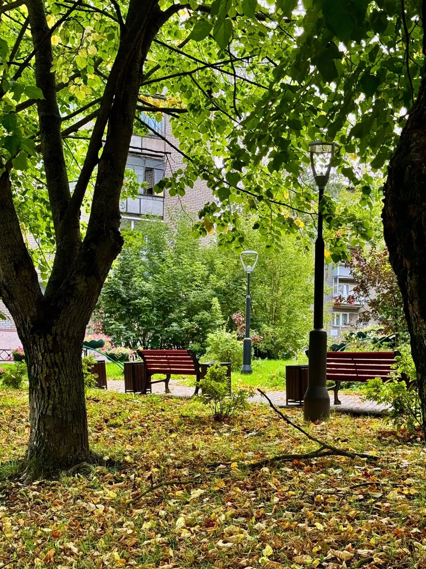 Осень в Череповце.