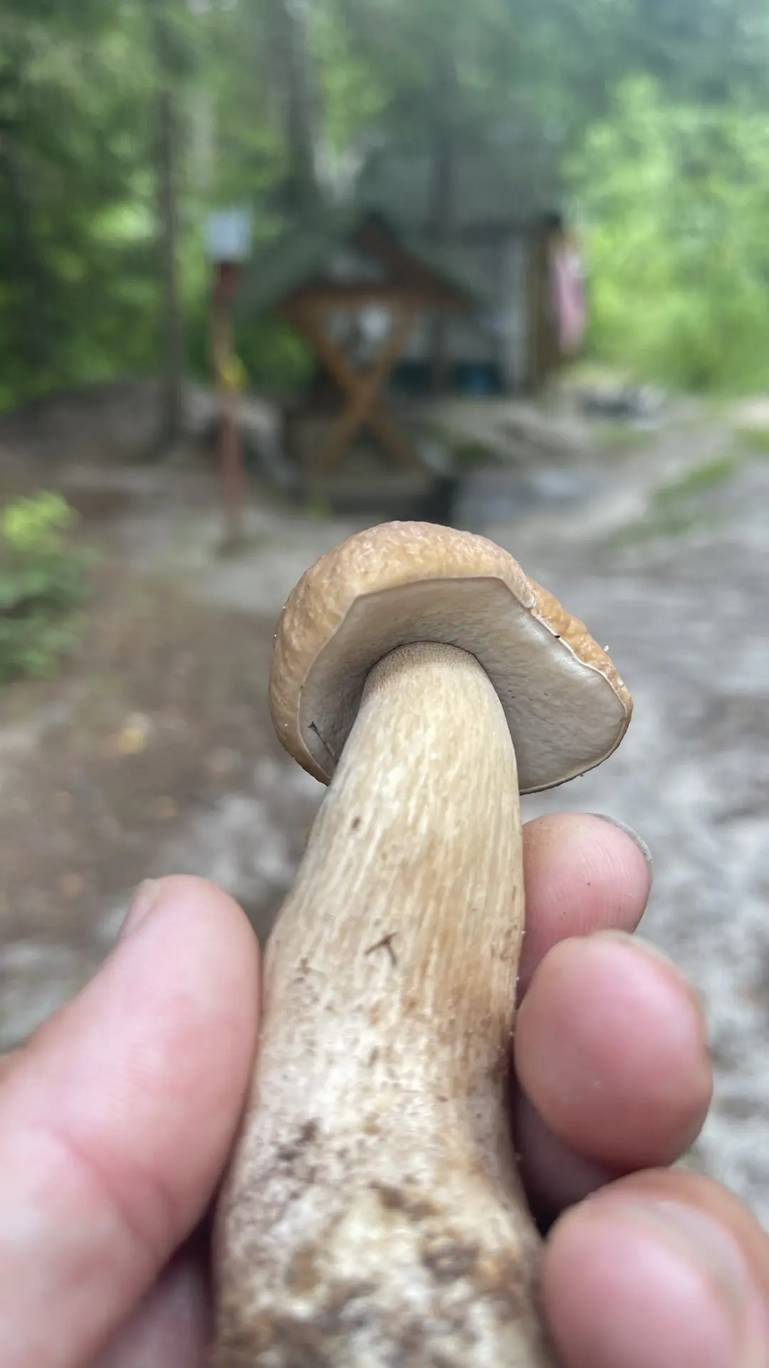 Первый белый в этом сезоне! Узнали место?)