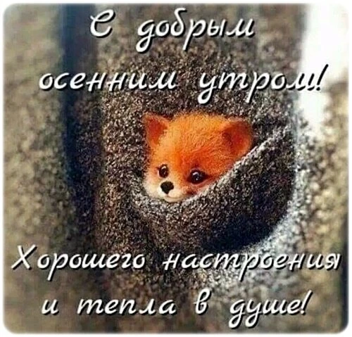 Открытки доброе утро