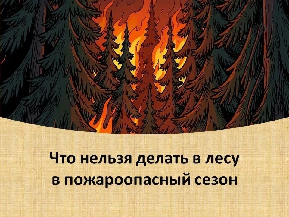 С начала пожароопасного сезона в Алтайском крае ликвидировали более 110 лесных пожаров