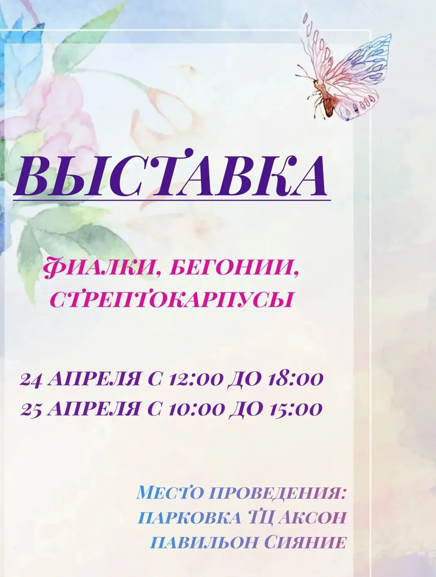 Приглашаем Вас на выставку фиалок, бегоний и стрептокарпусов