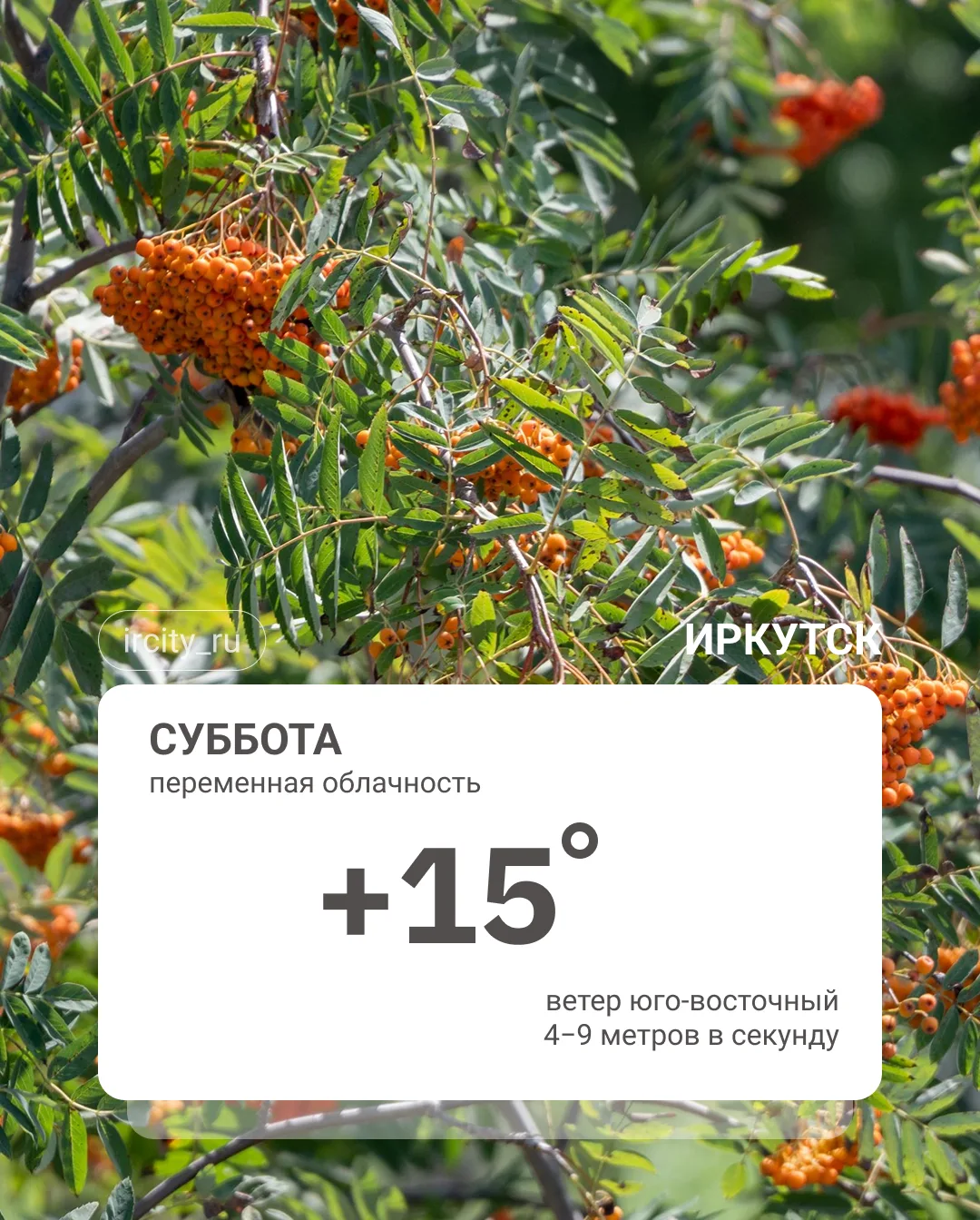 Погода сегодня.