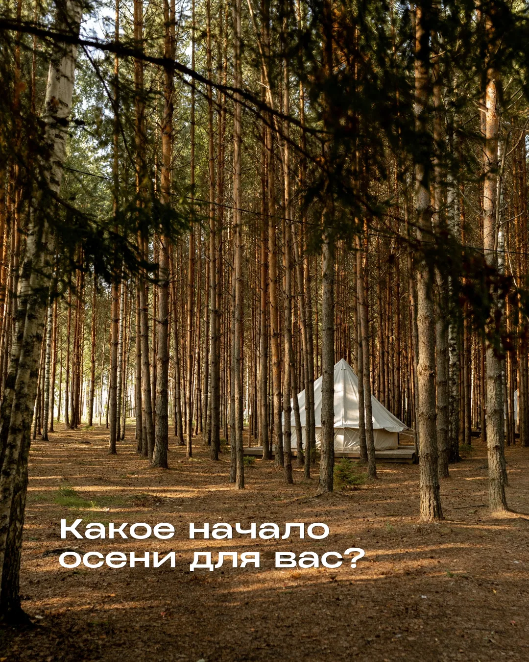 Какое начало осени для вас❔ 🍂