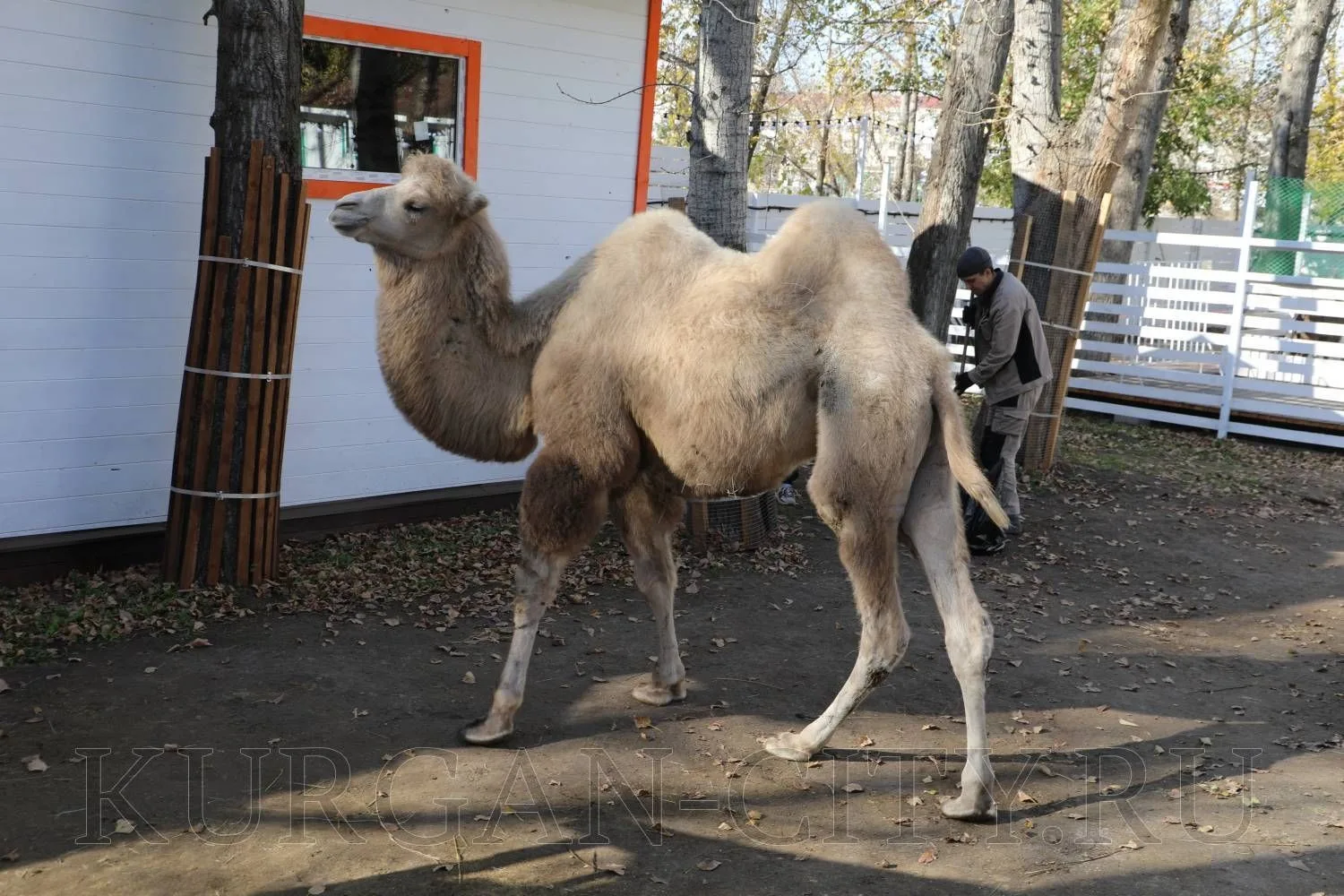 В Центральном парке культуры и отдыха произошло по-настоящему трогательное и радостное ...