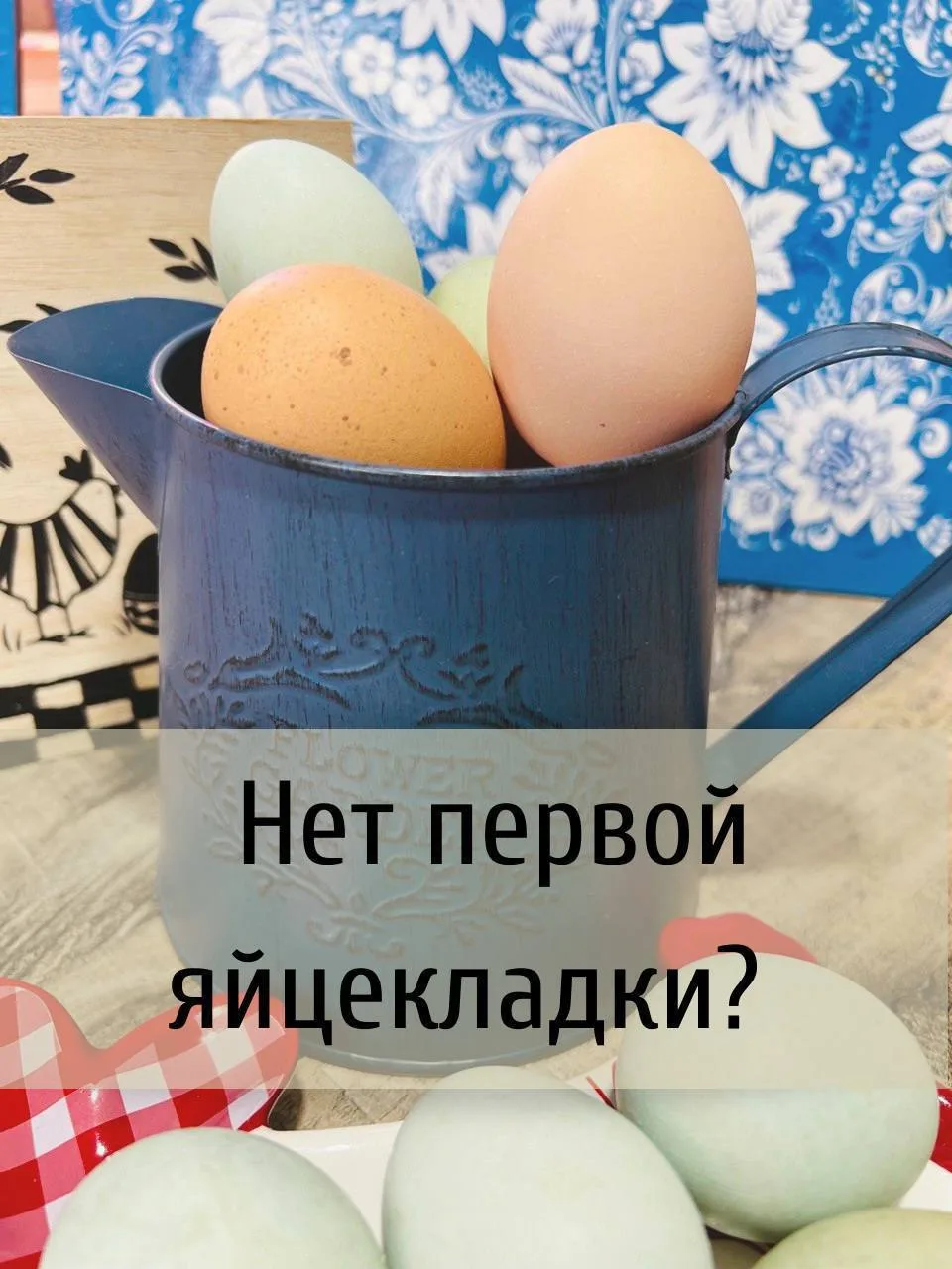 Почему не несутся молодые куры? (Нет первой яйцекладки)