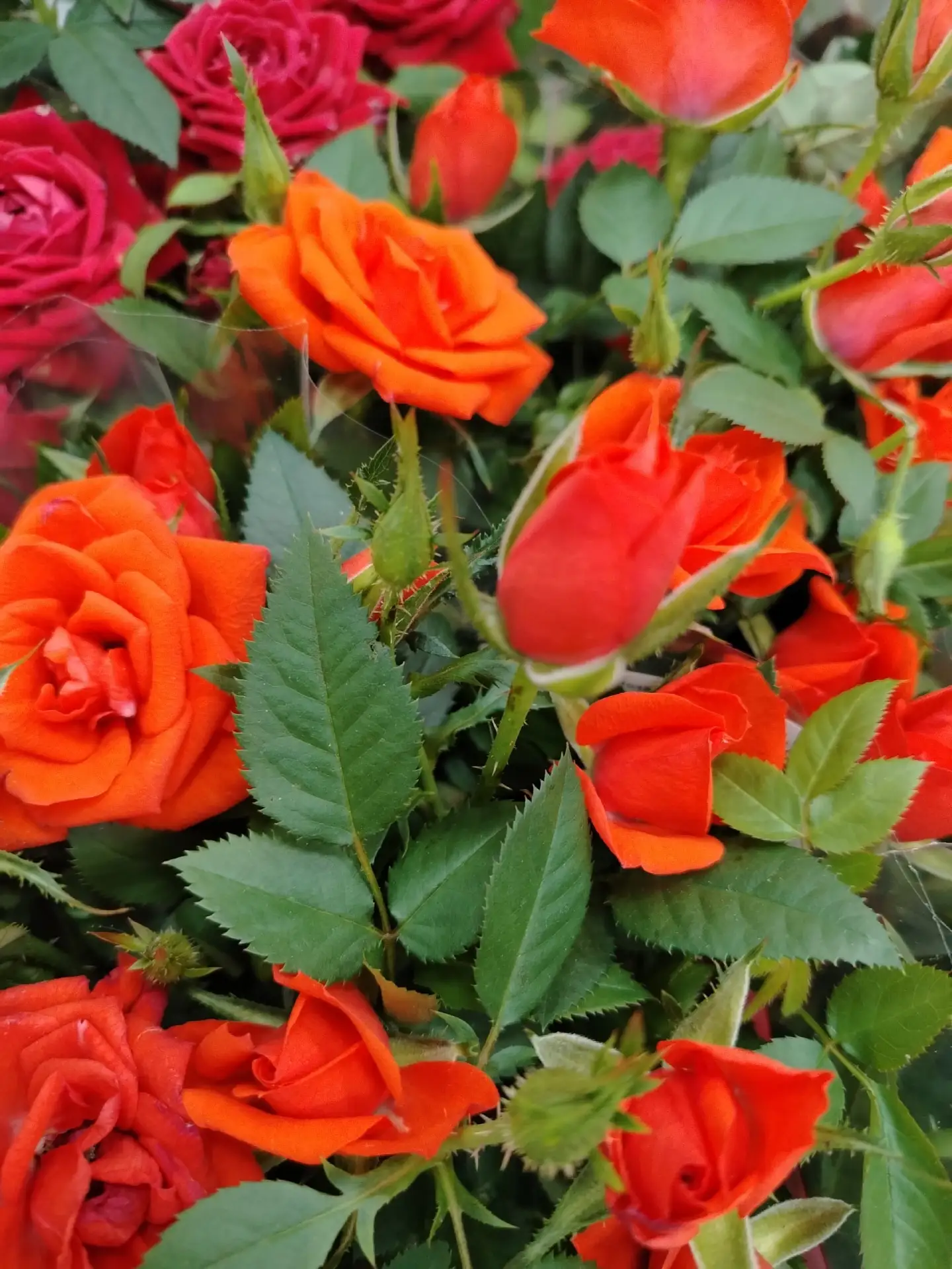 Находка 🌹