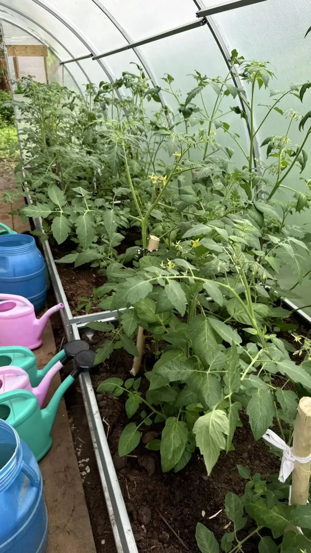 🌾 Современное сельское хозяйство начинается со школьной скамьи

Третий год в центре образования "Ве