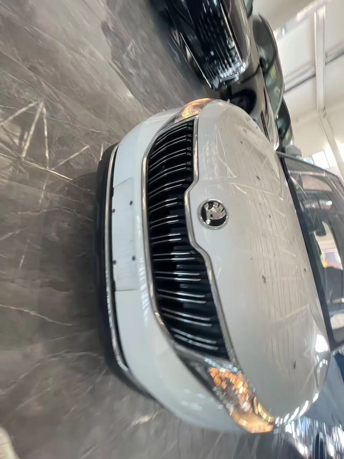 Отправили из Китая в Россию для дальнейшей таможенной очистки Skoda Kamiq 2021 год 10 м...