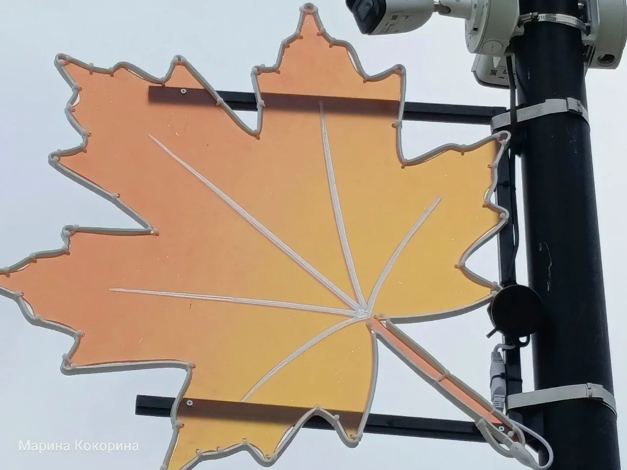Осень на Рязанской ВДНХ 🍁🍁🍁