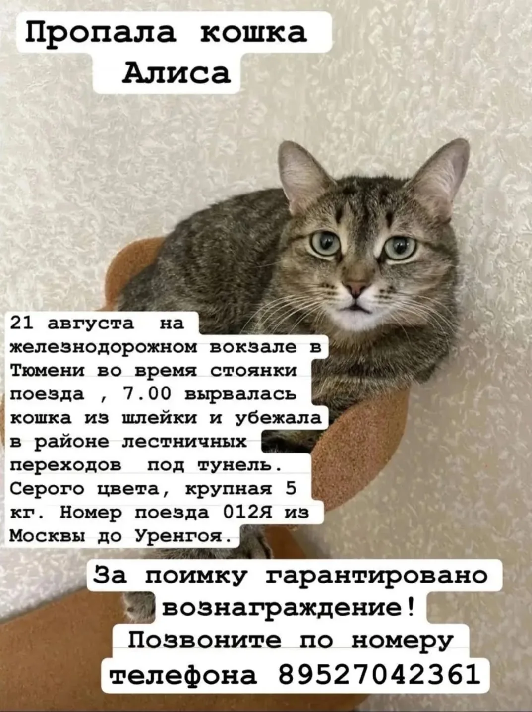 ПОМОГИТЕ НАЙТИ!