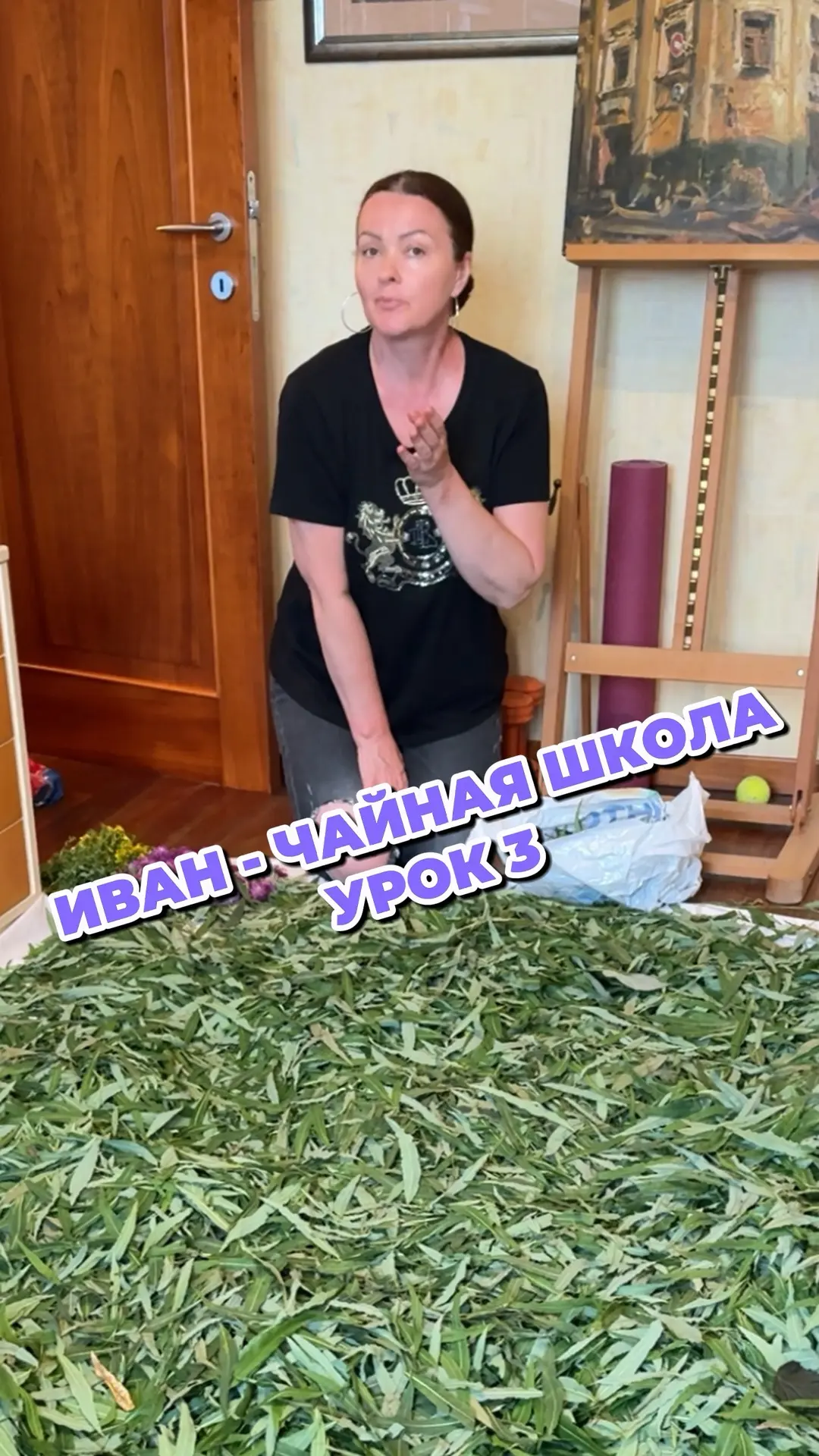 https://vk.ru/clip-211127185_456239277?c=1