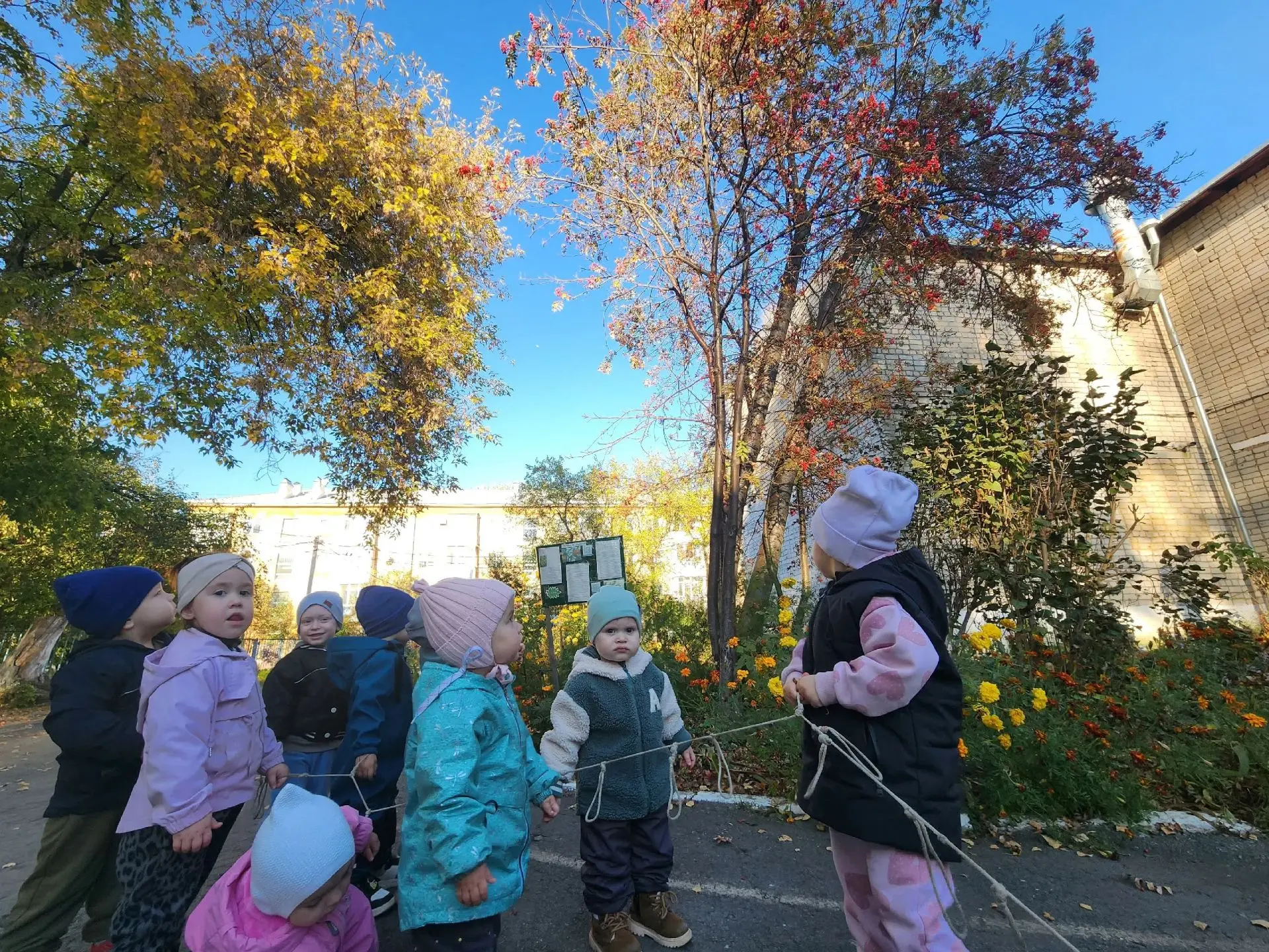 🎉 День рябины в группе «Фантазёры »! 🌿