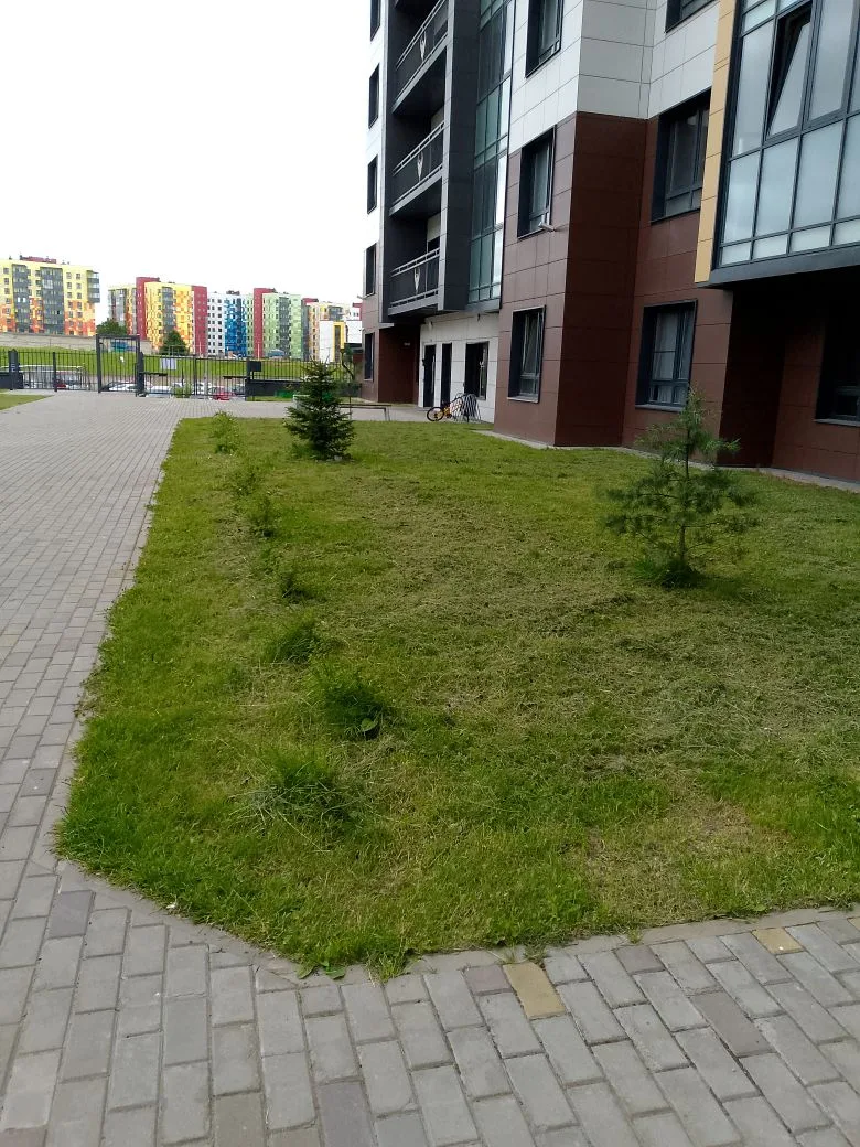 Во внутреннем дворе трава скошена