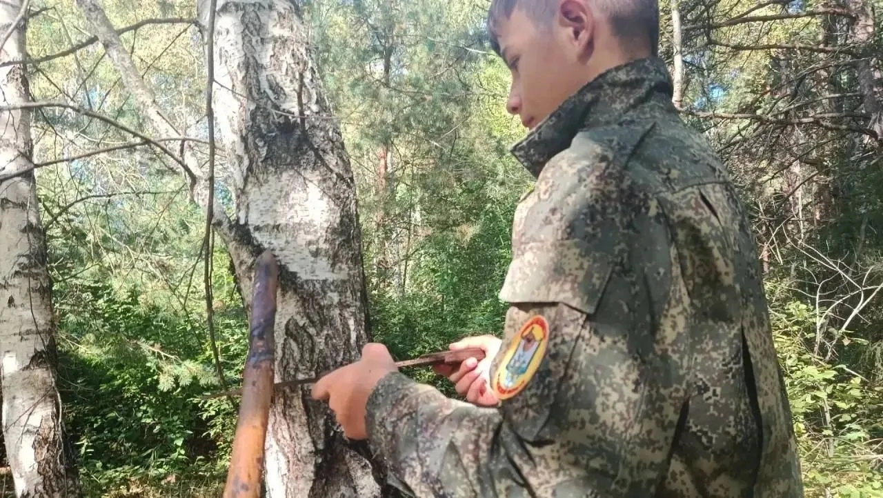 НОВОСТИ ОБЪЕДИНЕНИЯ ВОЛОНТЕРСКОГО ОТРЯДА ШКОЛЬНОГО ЛЕСНИЧЕСТВА 🌲