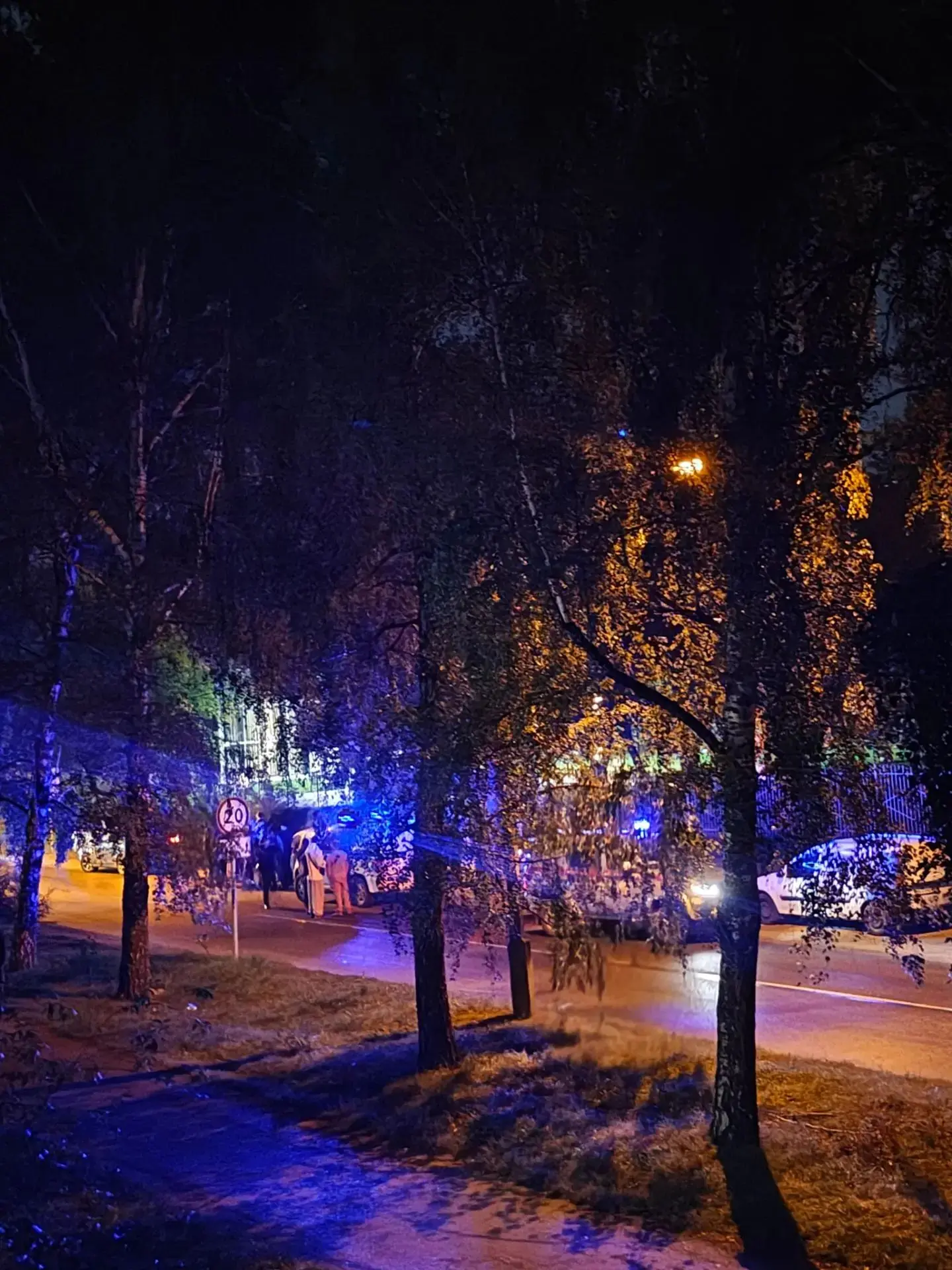 Вот так закончилась вечерняя программа в парке Арлекино, которая длилась до часа ночи. ...