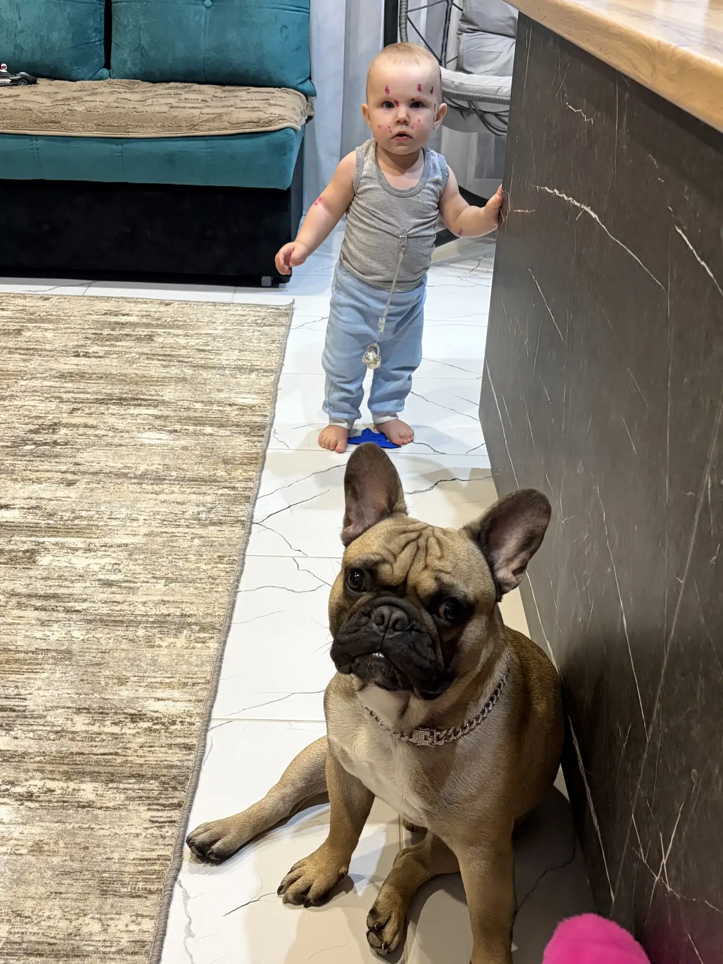 🐶👦🫶