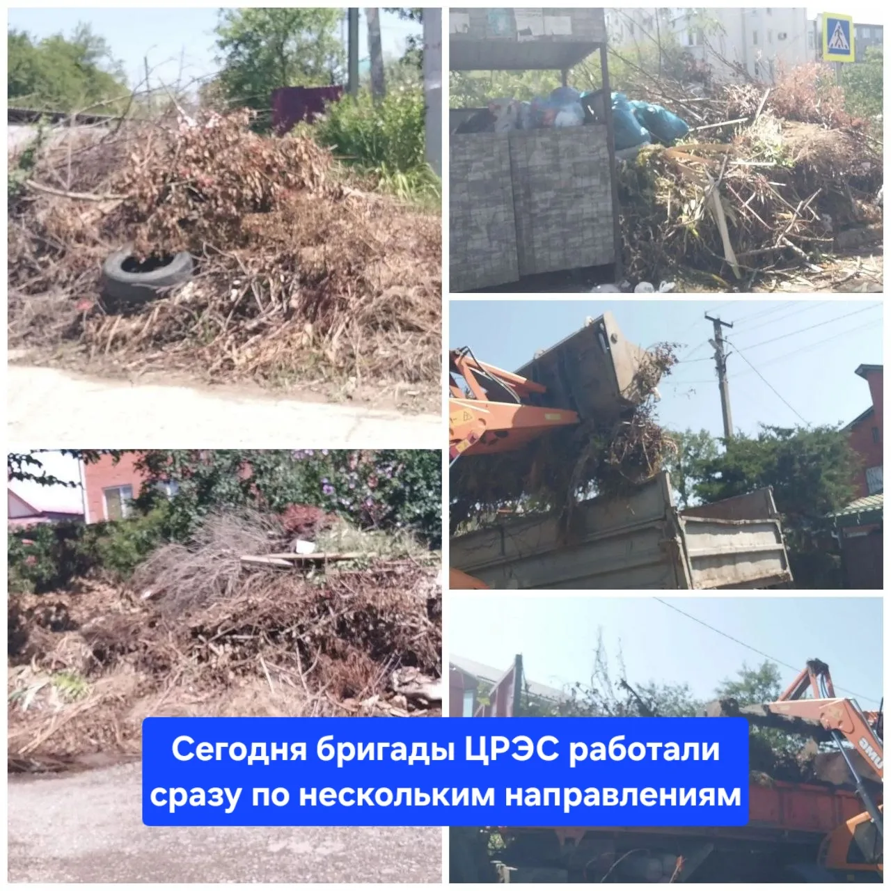 Сегодня бригады ЦРЭС работали сразу по нескольким направлениям – от ухода за зелеными зонами до сани