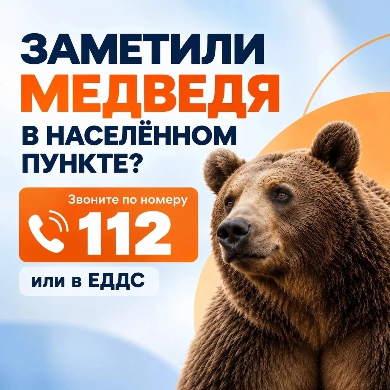 Если вы заметили медведей в населенных пунктах, необходимо соблюдать правила безопасности: