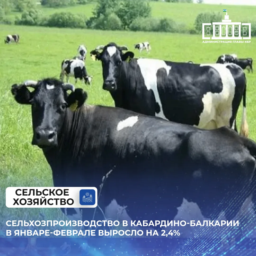 Сельхозпроизводство в Кабардино-Балкарии в январе-феврале выросло на 2,4%  Объем производства продук