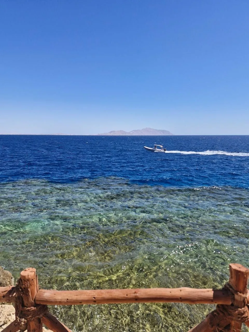 Тур в Египет (Шарм-эль-Шейх) ❤️🌴🌊