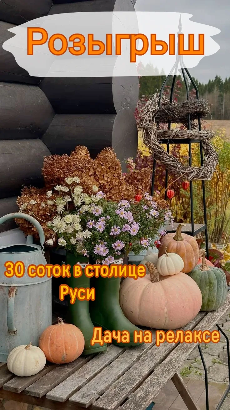 Друзья, у нас отличные новости! 🎉 Мы запускаем совместный розыгрыш и хотим сделать вам...