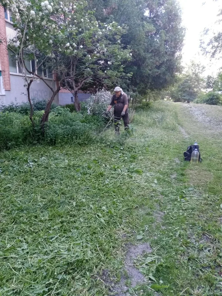 Продолжается борьба с зарослями. 💪