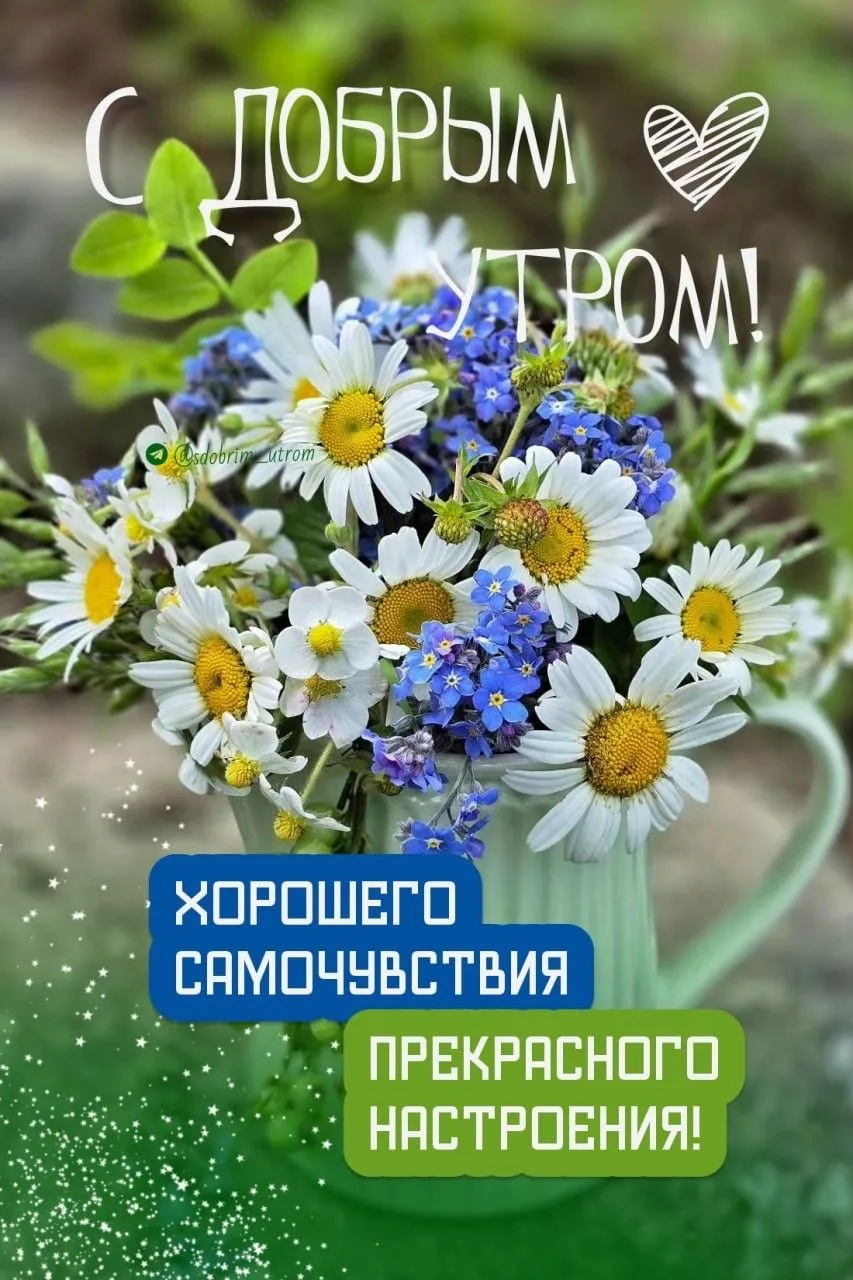 КРАСИВЫЕ ОТКРЫТКИ ТУТ💖