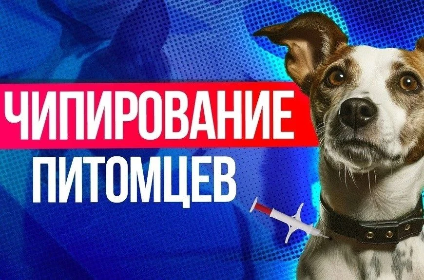📋 Регистрация и учет домашних животных

В сентябре 2025 года вступил в силу Порядок регистрации и у